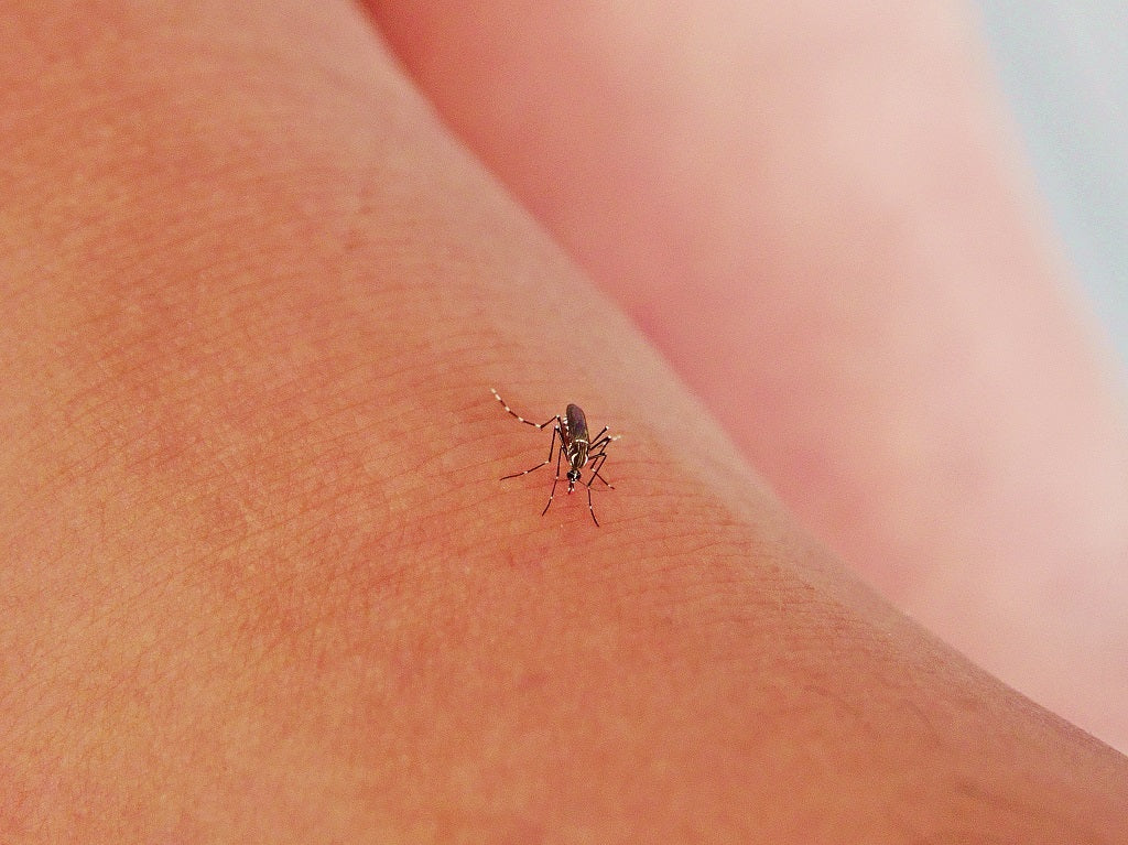 How to get a bug out of your ear ScopeAround